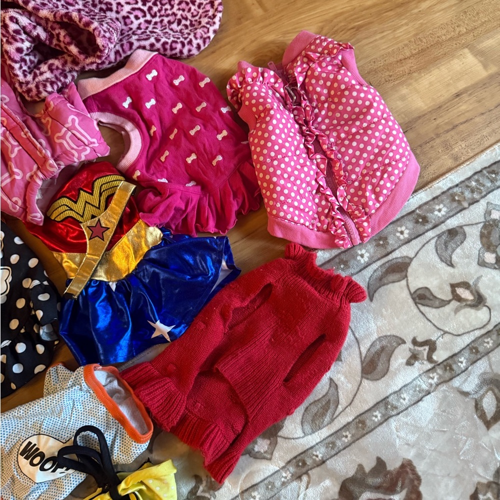 Lot of XS dog clothes